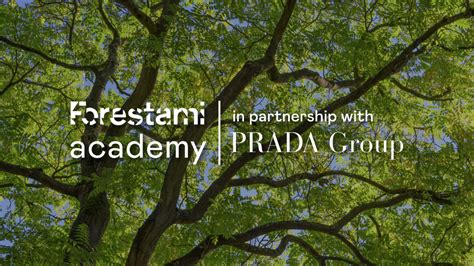 prada corsi di formazione|prada academy.